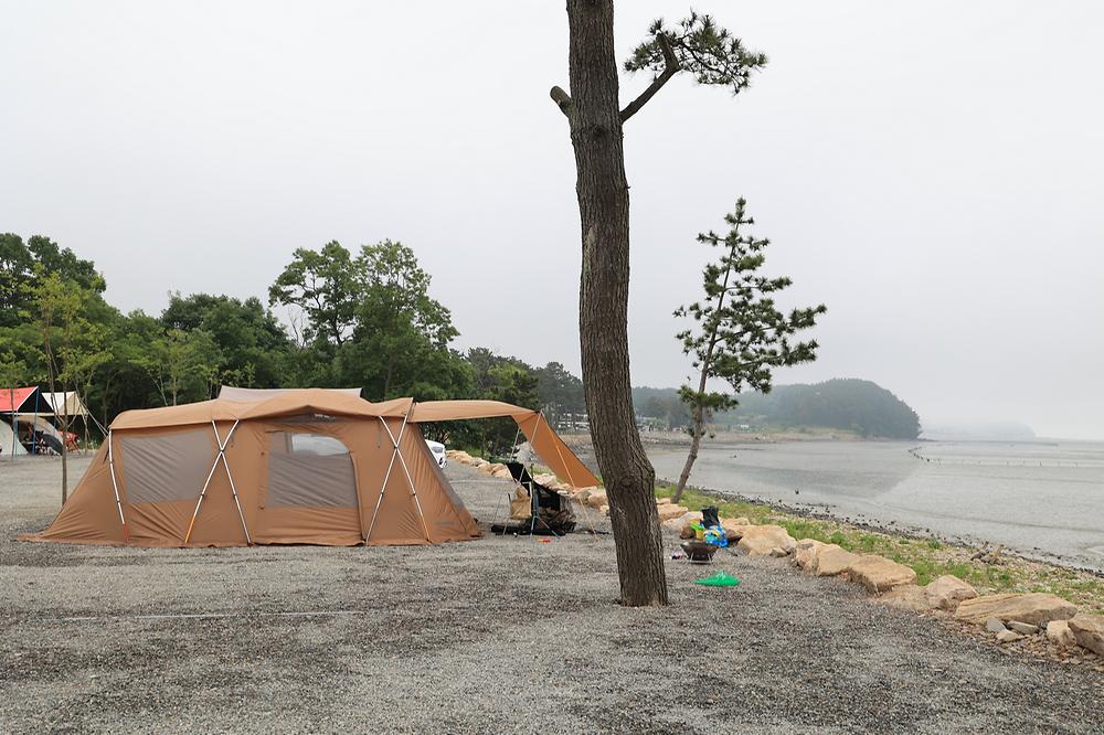 태안머드오토캠핑