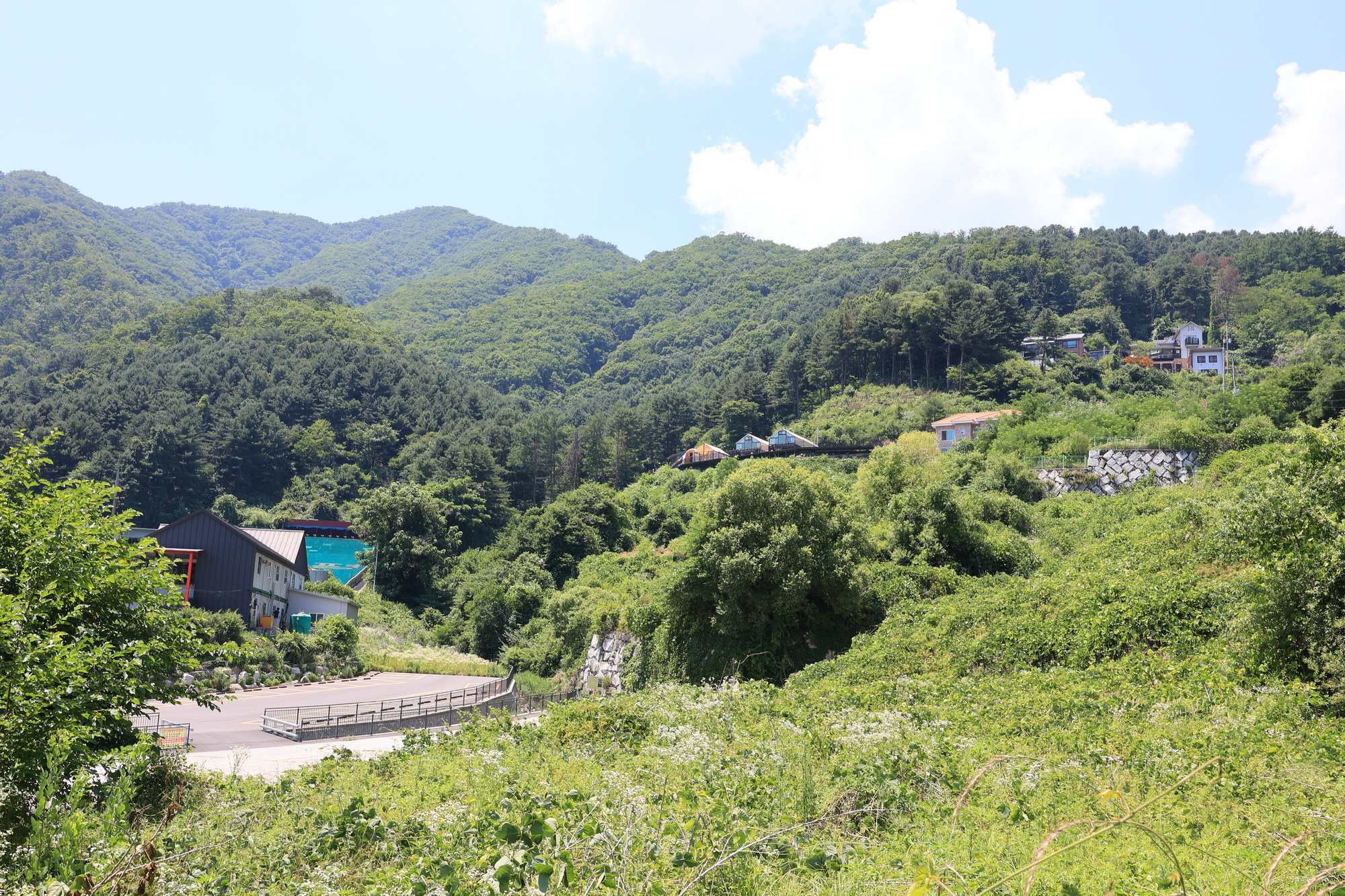 달멍 애견 풀빌라 글램핑