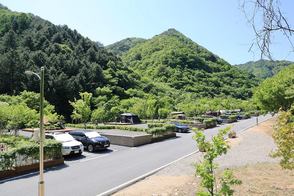 갯골자연휴양림 야영장
