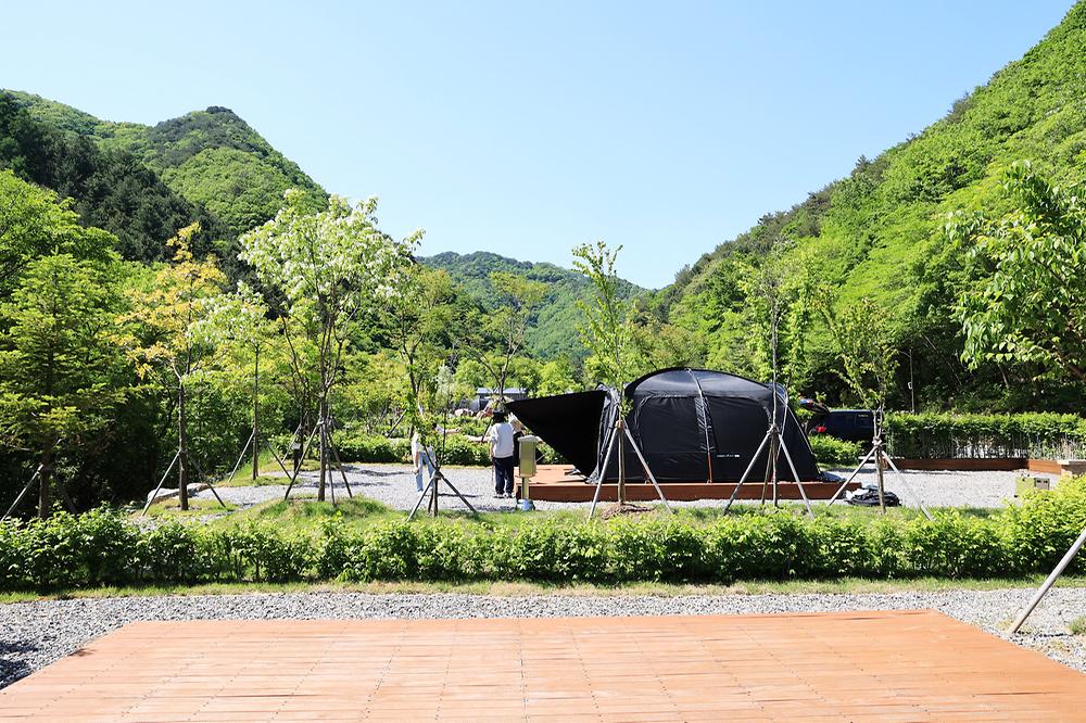 갯골자연휴양림 야영장