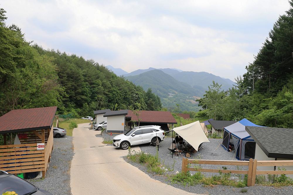월강캠프