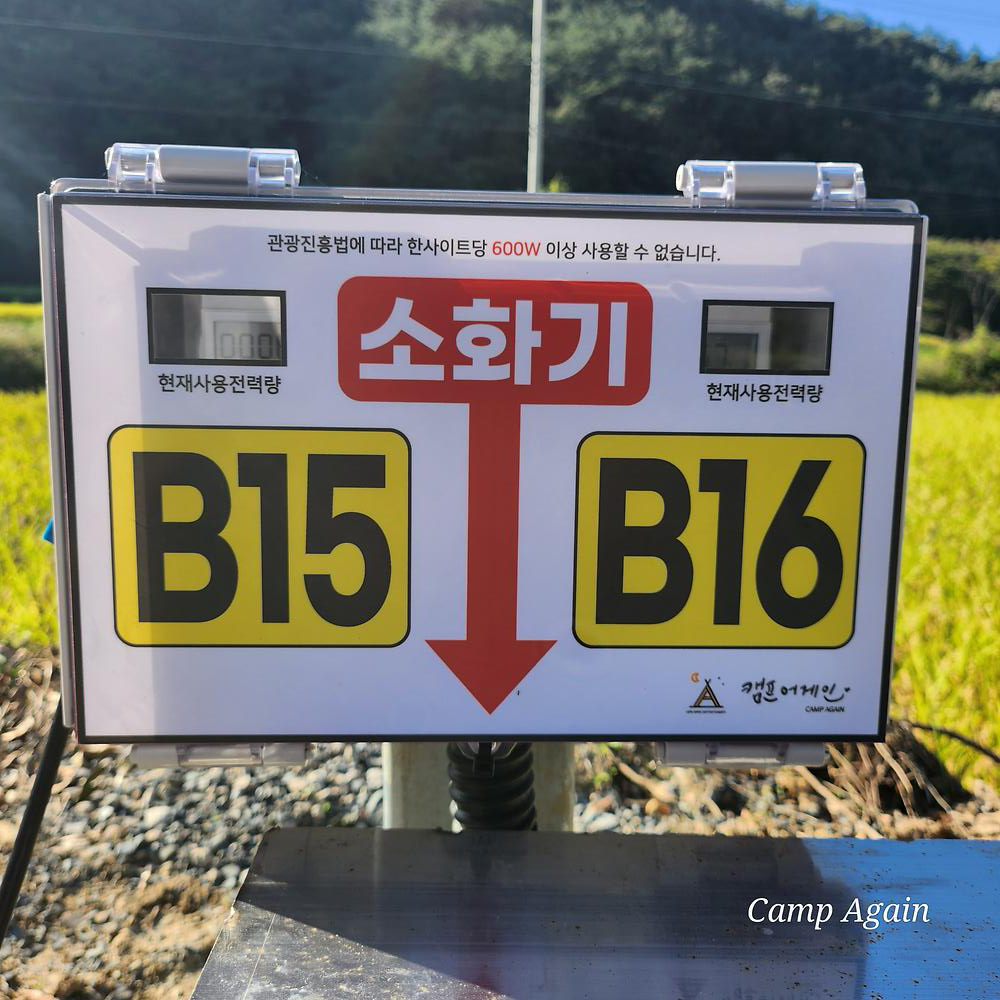 캠프어게인