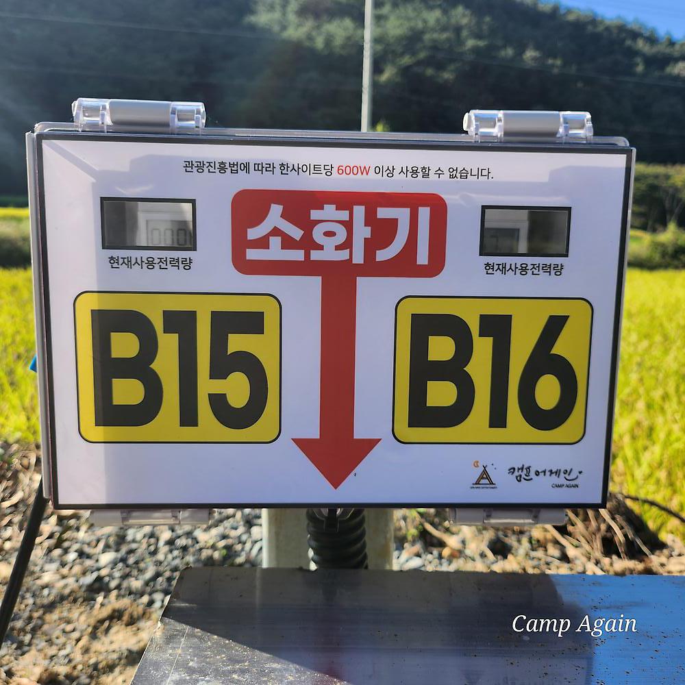 캠프어게인