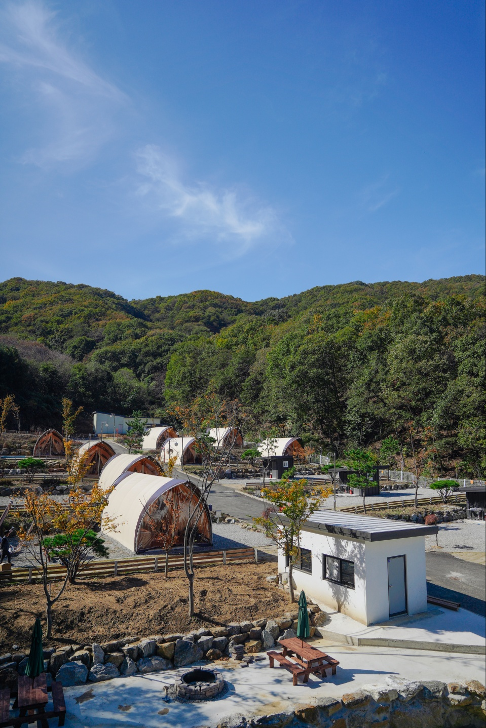 몽키캠핑장