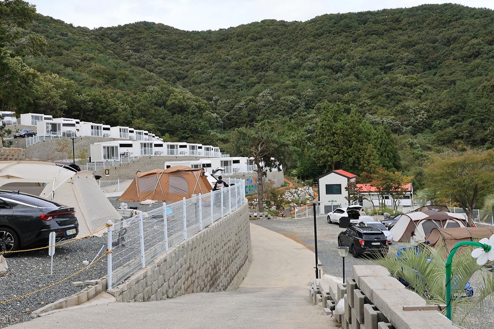 더 숨 포레스트
