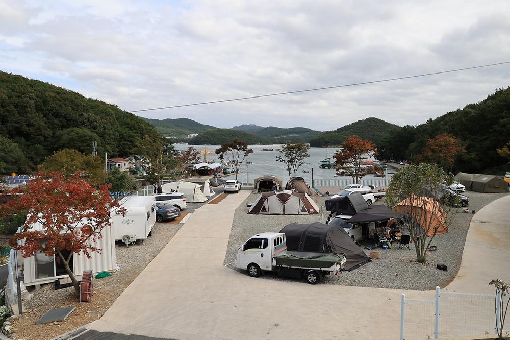 더 숨 포레스트