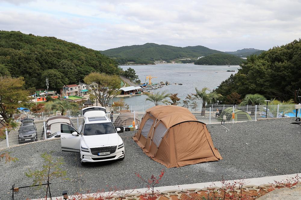 더 숨 포레스트