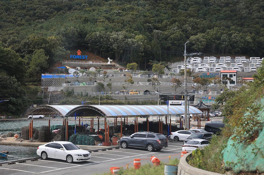 더 숨 포레스트
