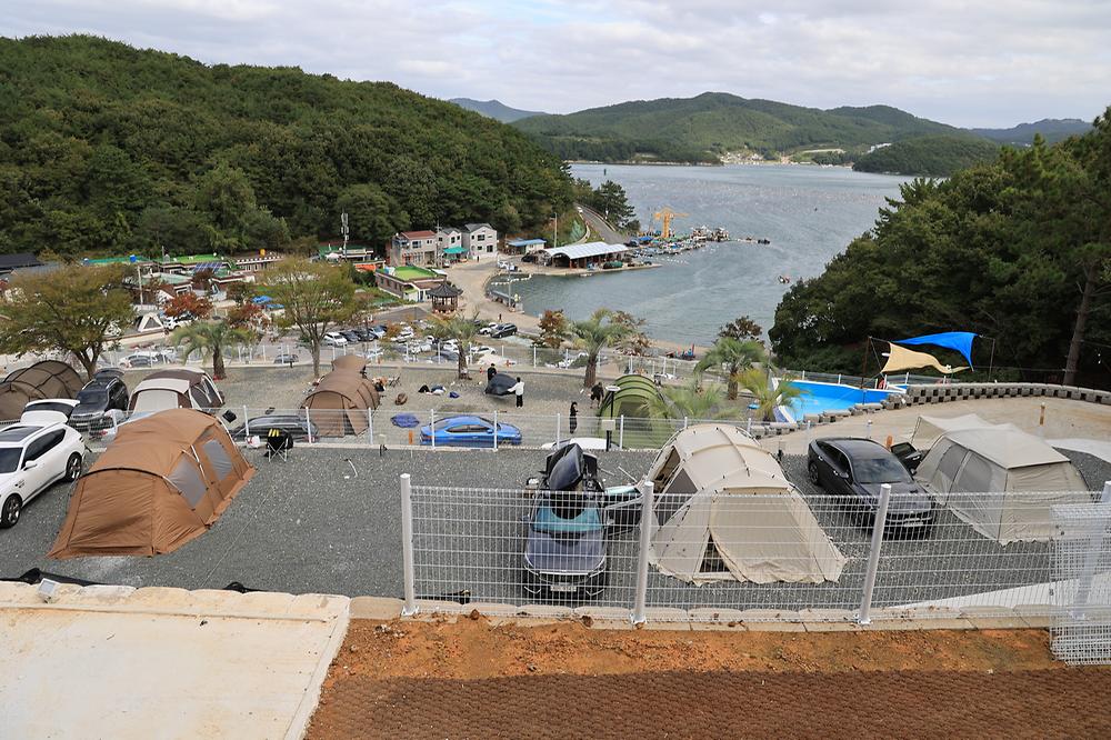 더 숨 포레스트