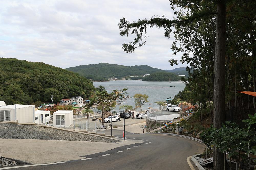 더 숨 포레스트
