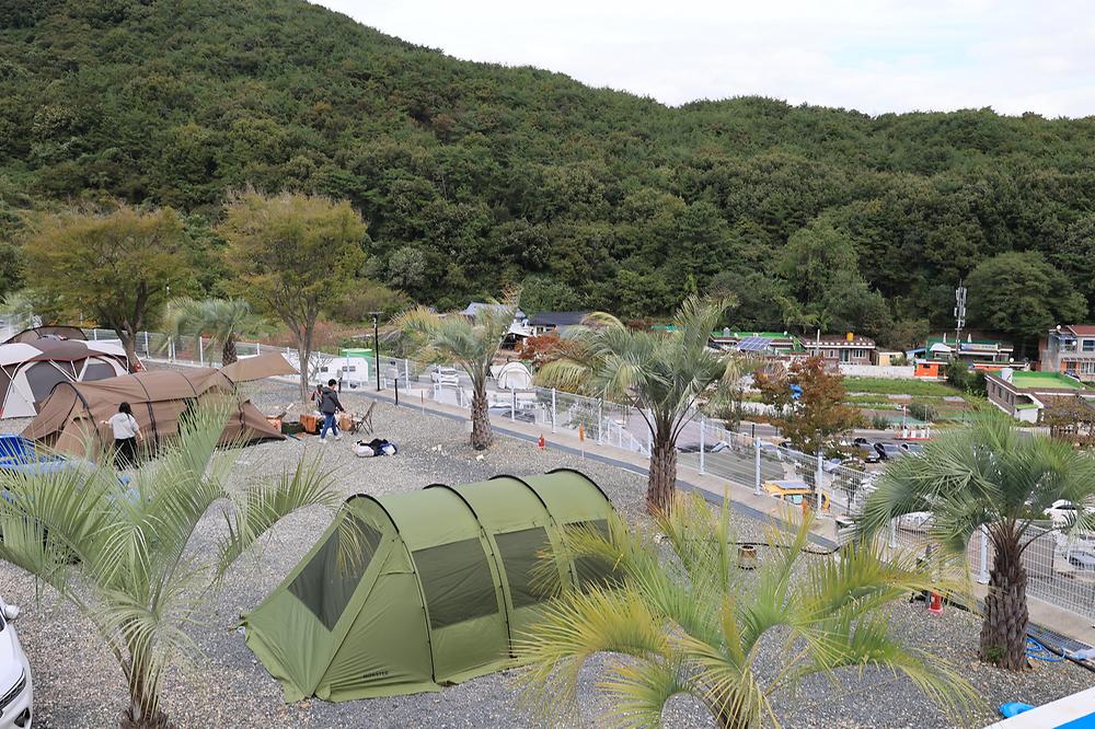더 숨 포레스트