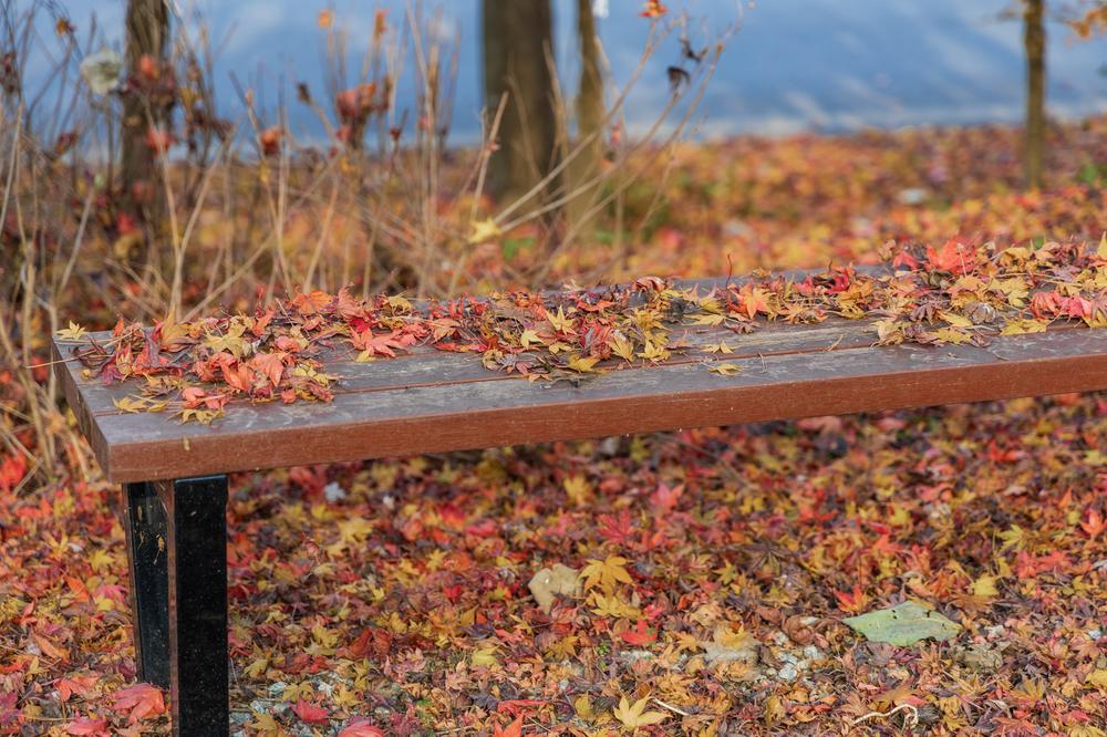 내장산국립공원 내장호야영장