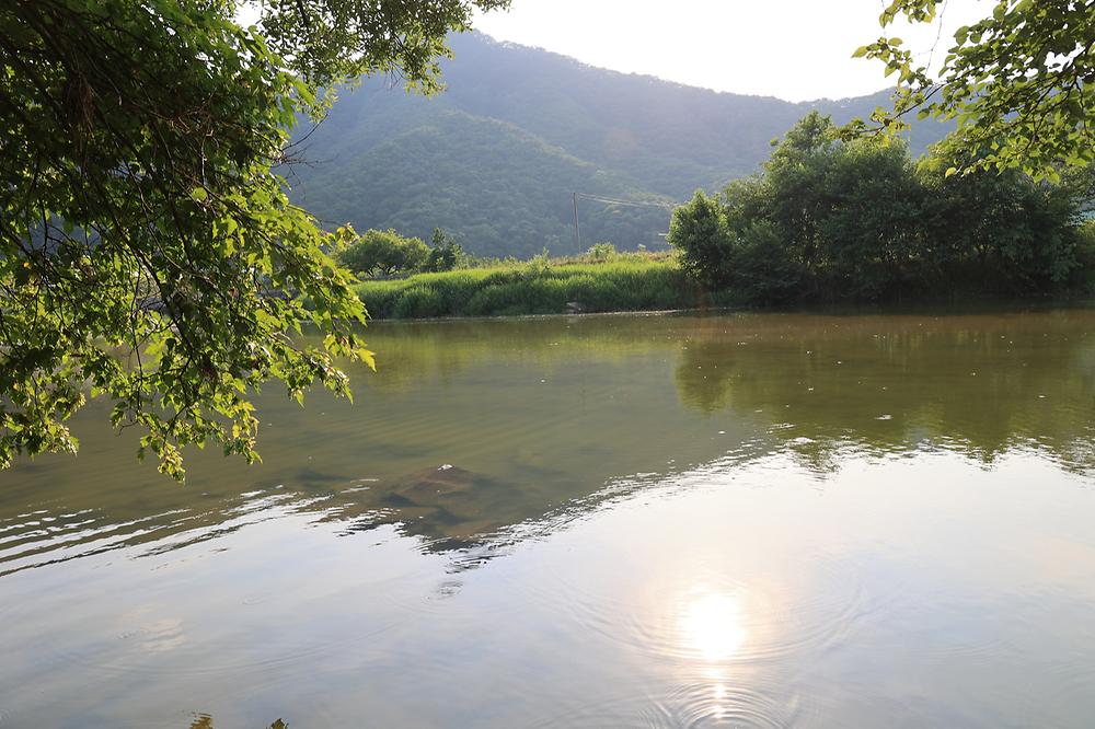 산수향 야영장
