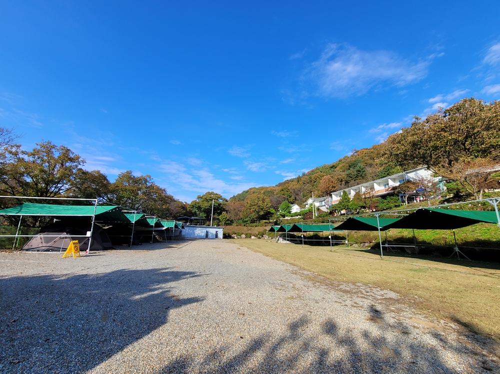 산수향 야영장