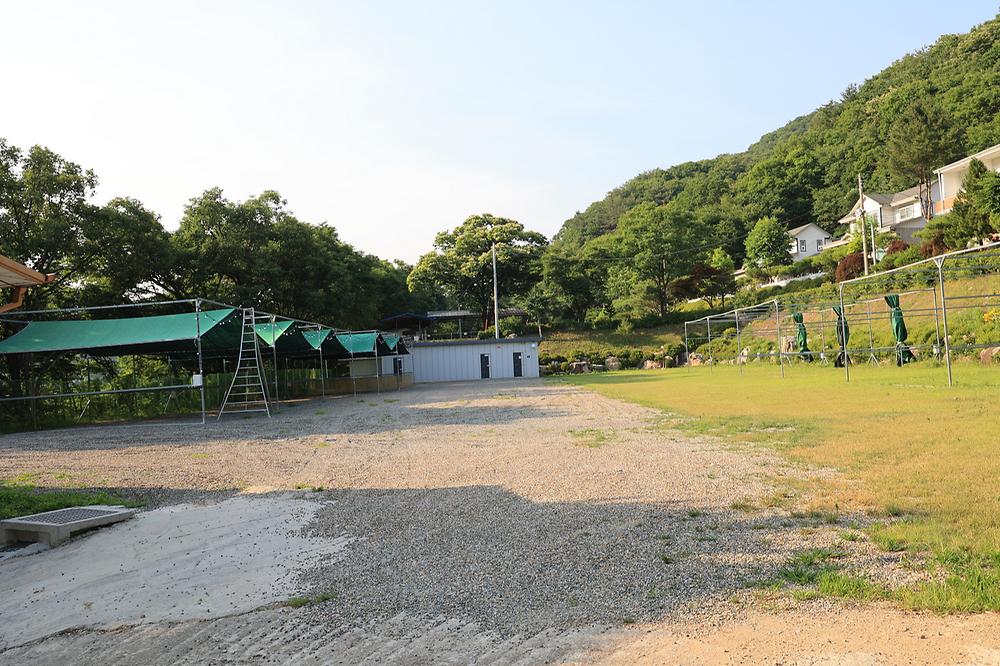 산수향 야영장