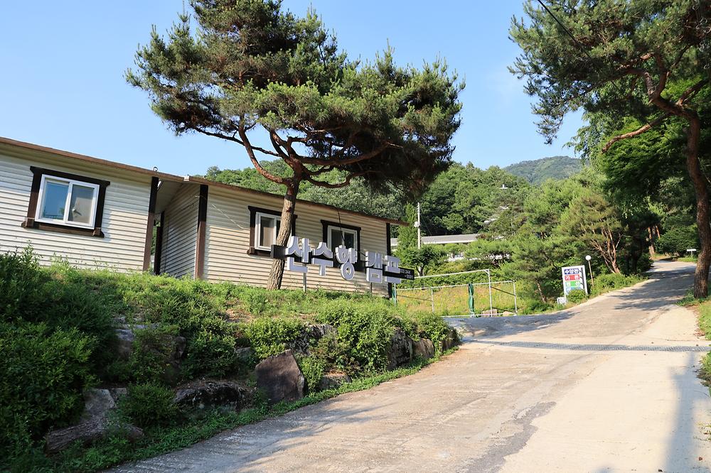 산수향 야영장