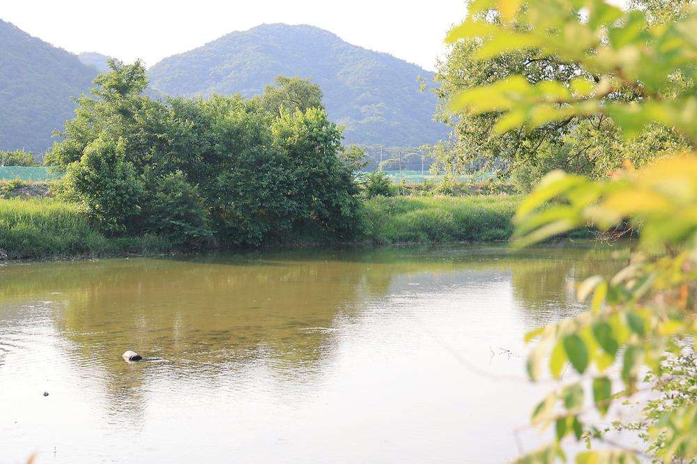 산수향 야영장