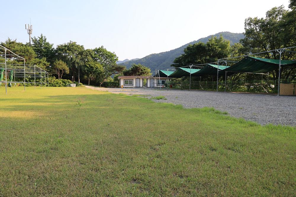 산수향 야영장