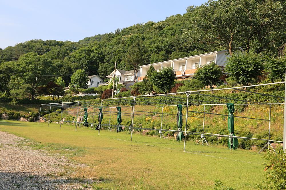 산수향 야영장
