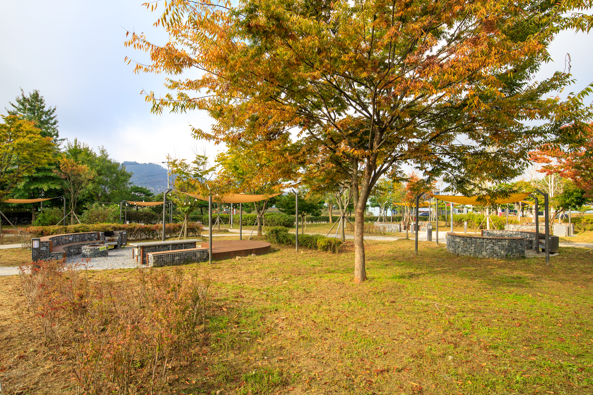 탄금호 피크닉 공원