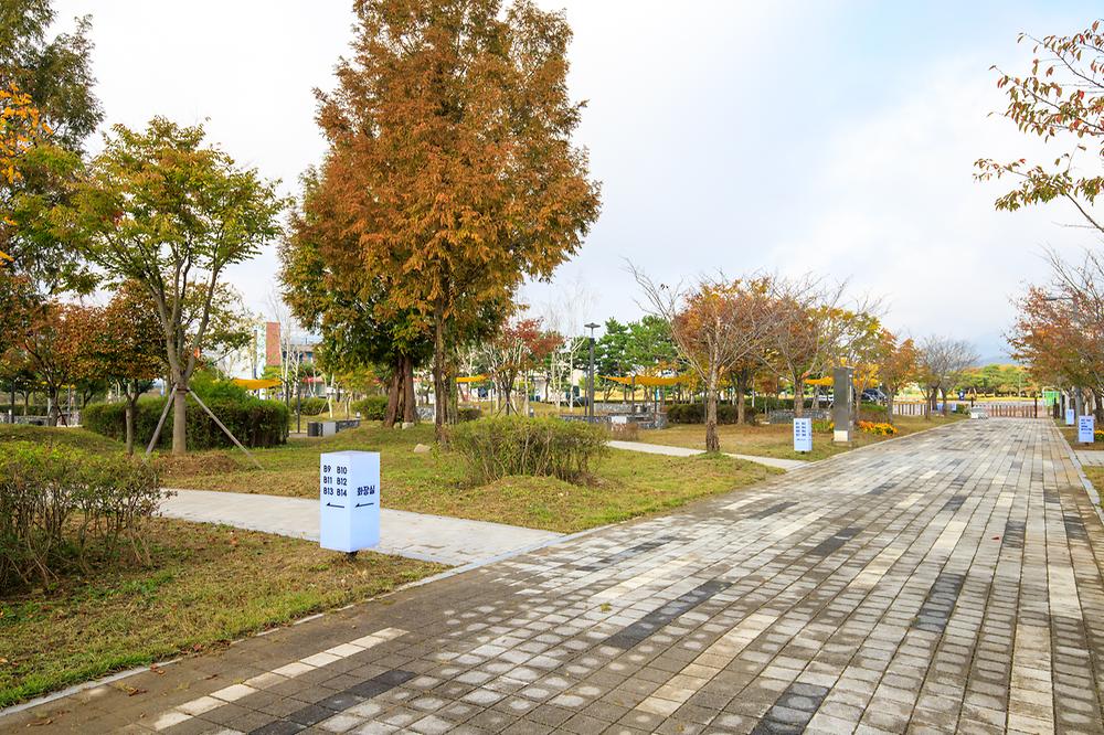 탄금호 피크닉 공원