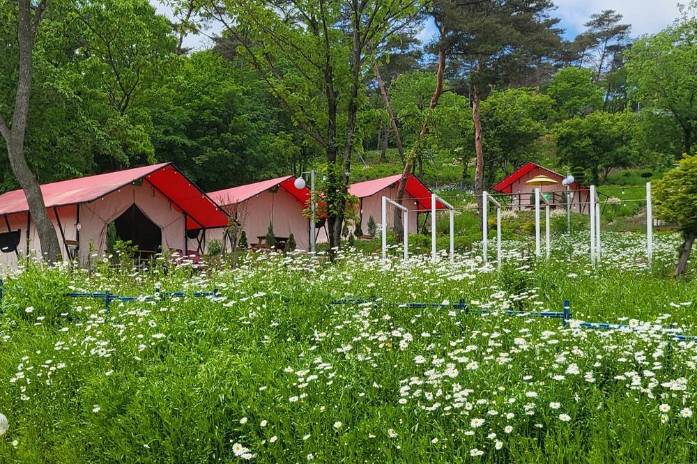 화순정원글램핑관광농원