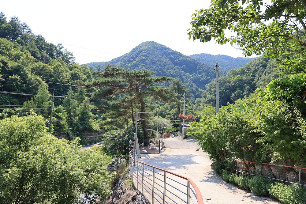 별숲캠핑장