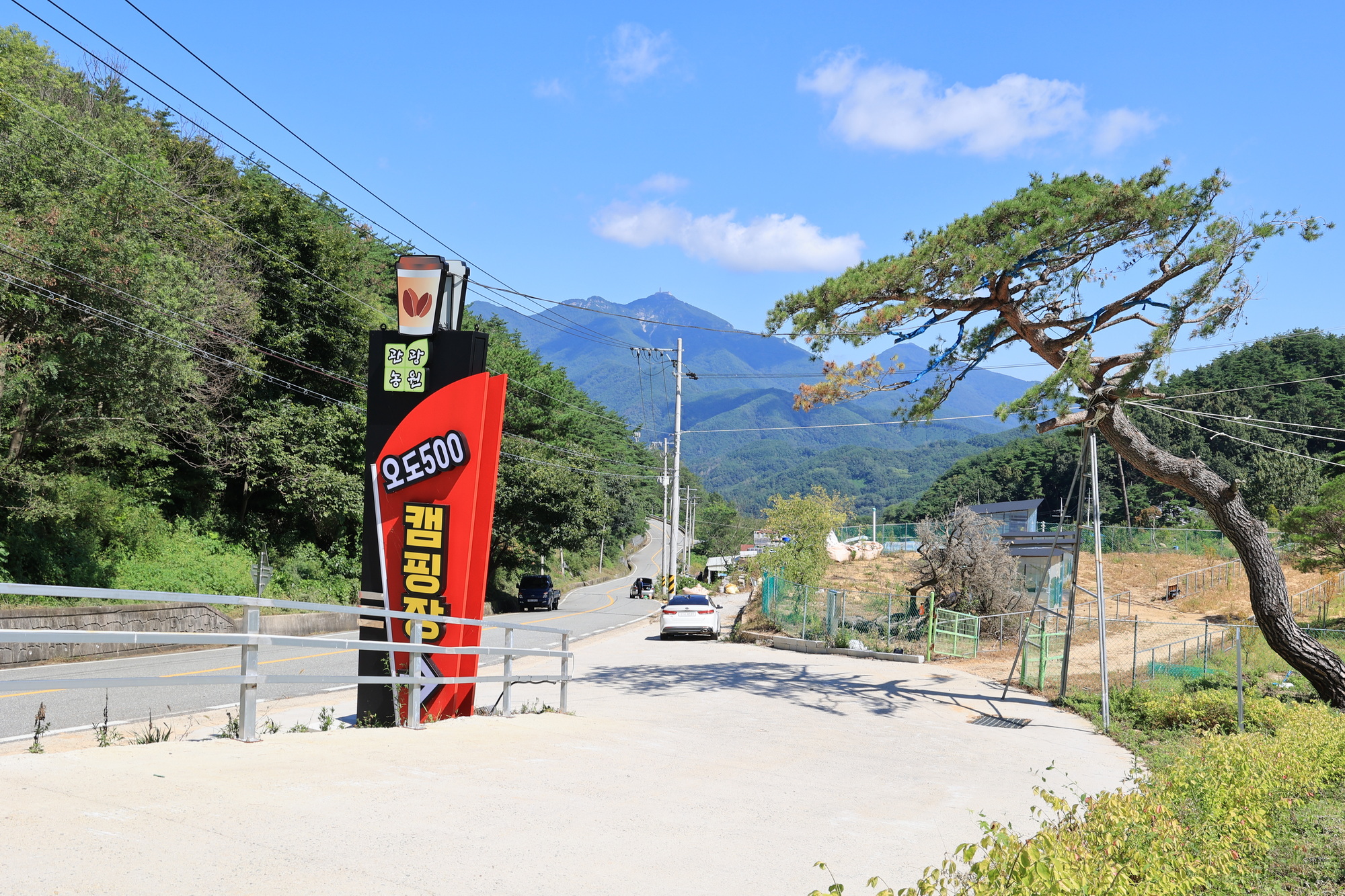 오도산 관광농원