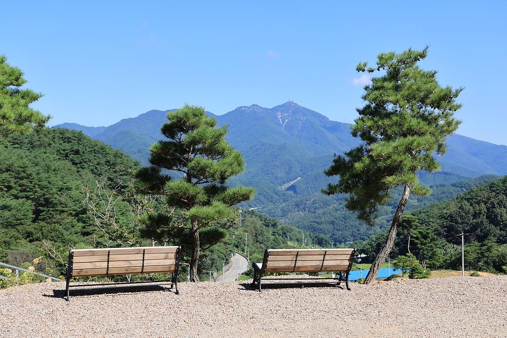 오도산 관광농원