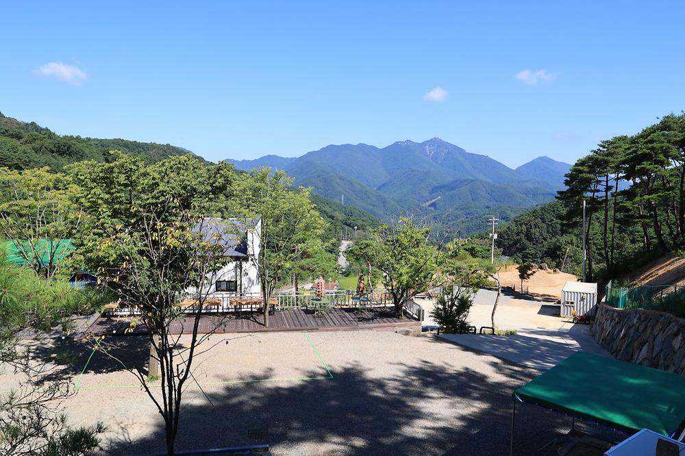 오도산 관광농원