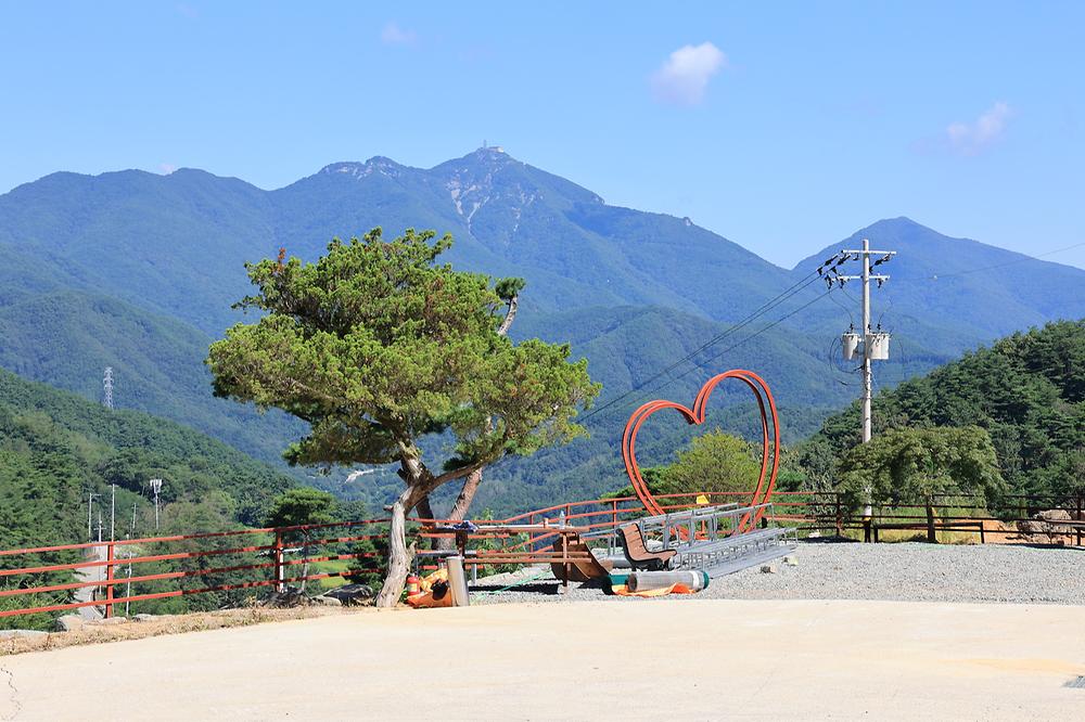오도산 관광농원