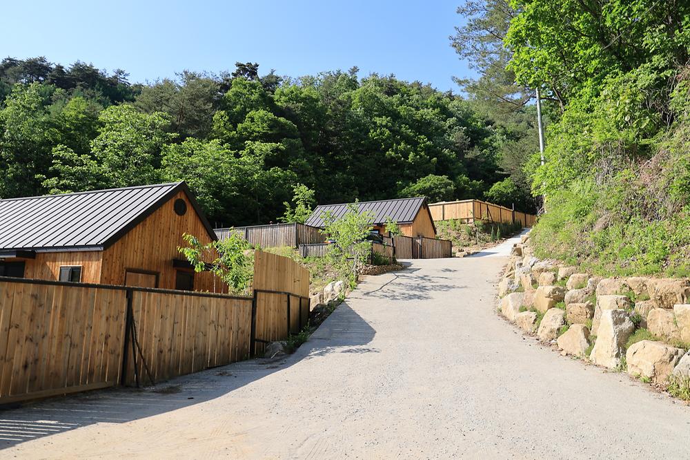 잼보리 캠프
