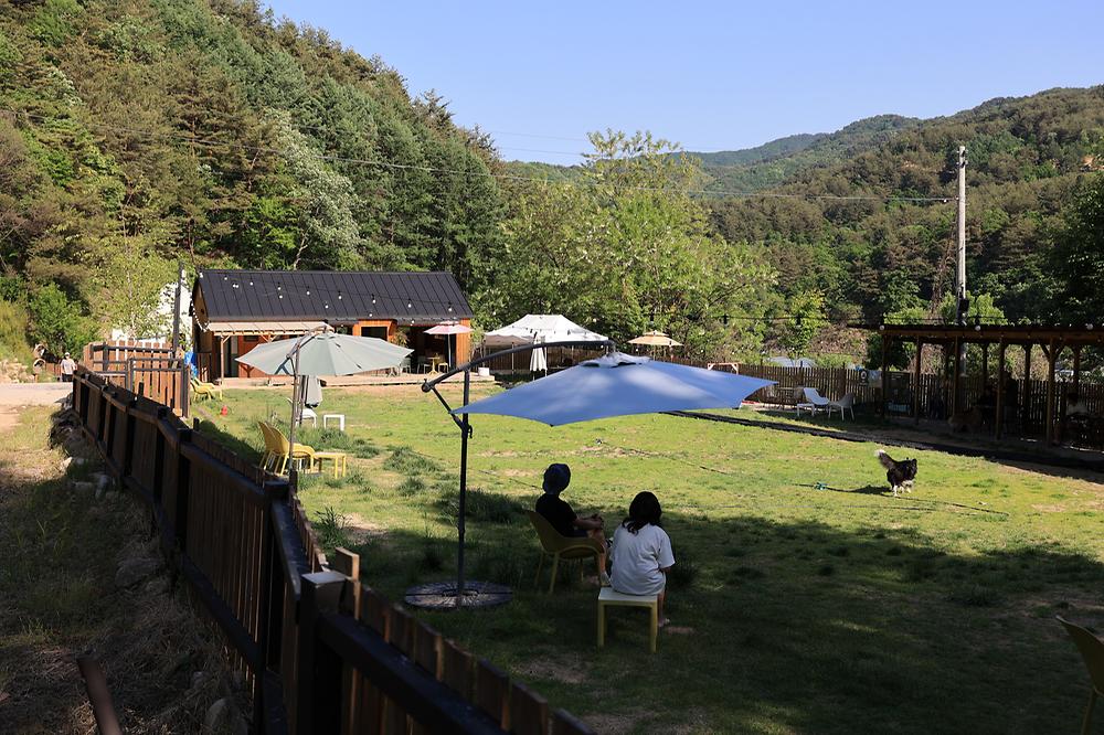 잼보리 캠프