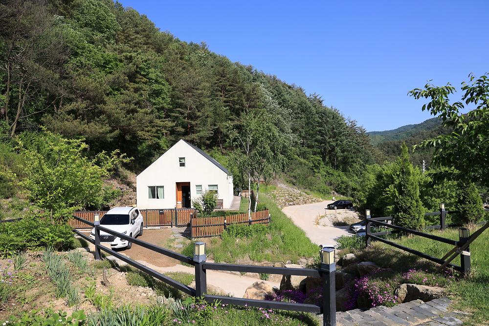 잼보리 캠프
