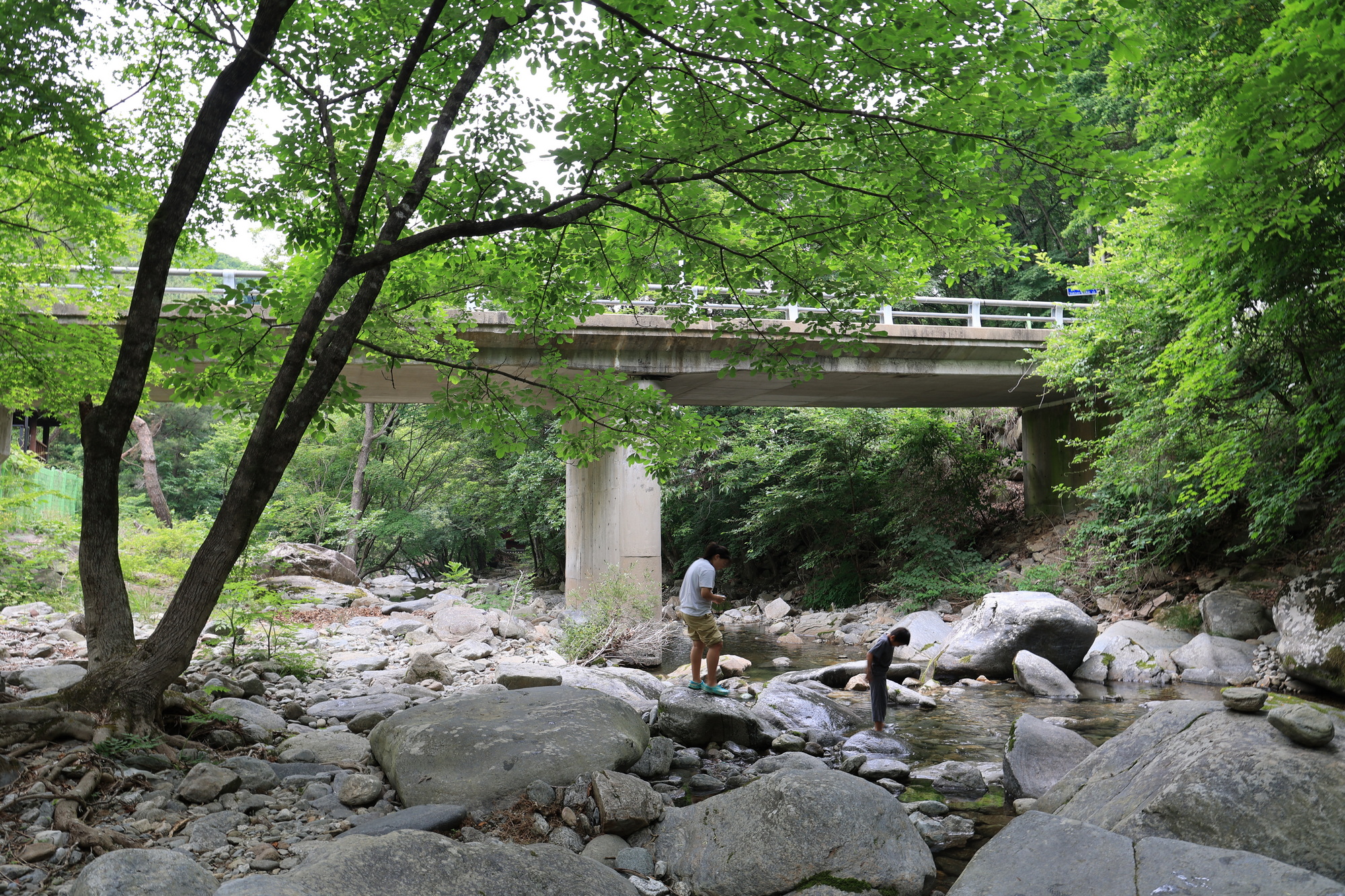 오케이캠핑장