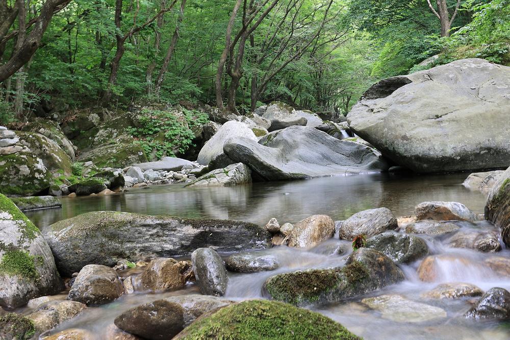 오케이캠핑장