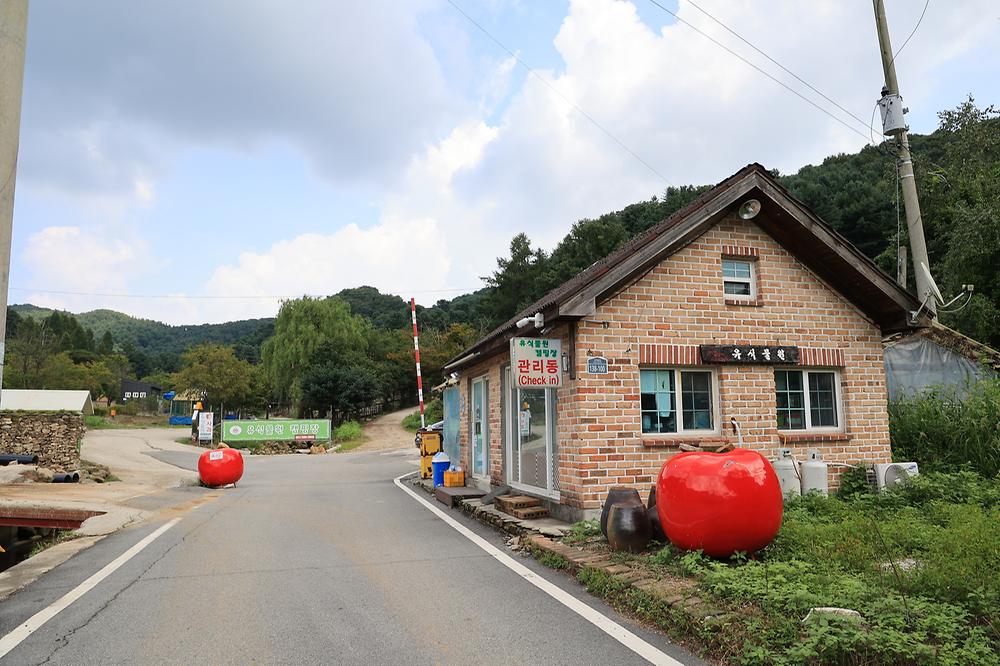 돈키호테캠핑