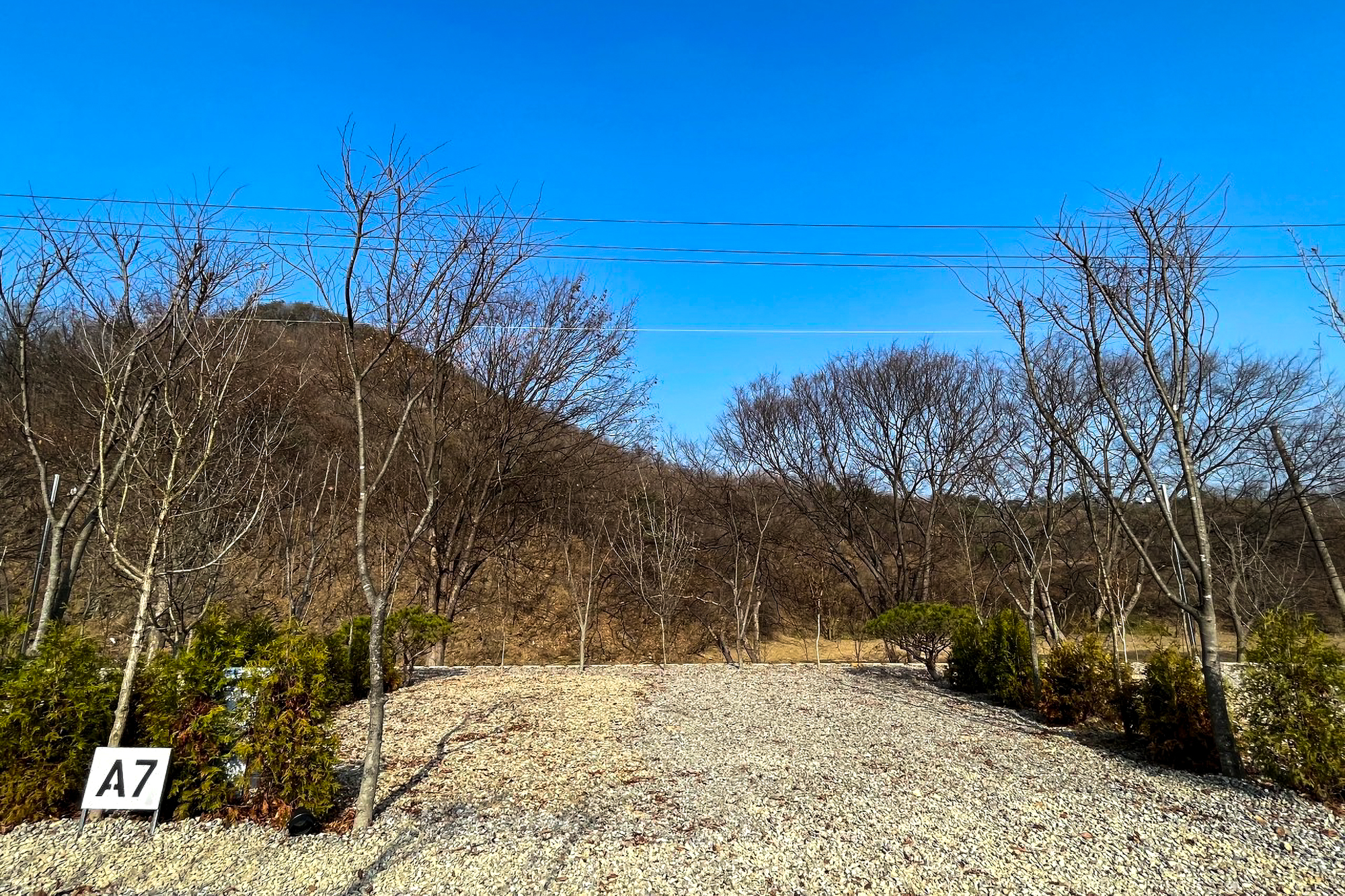 우니메이카 청주점