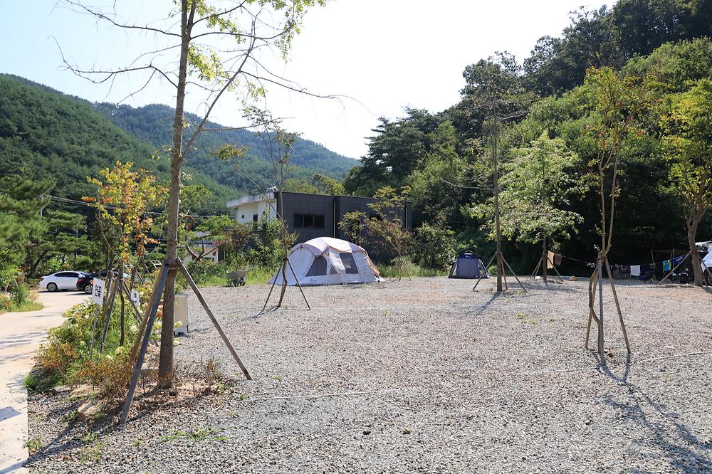 연꽃자리캠핑타운