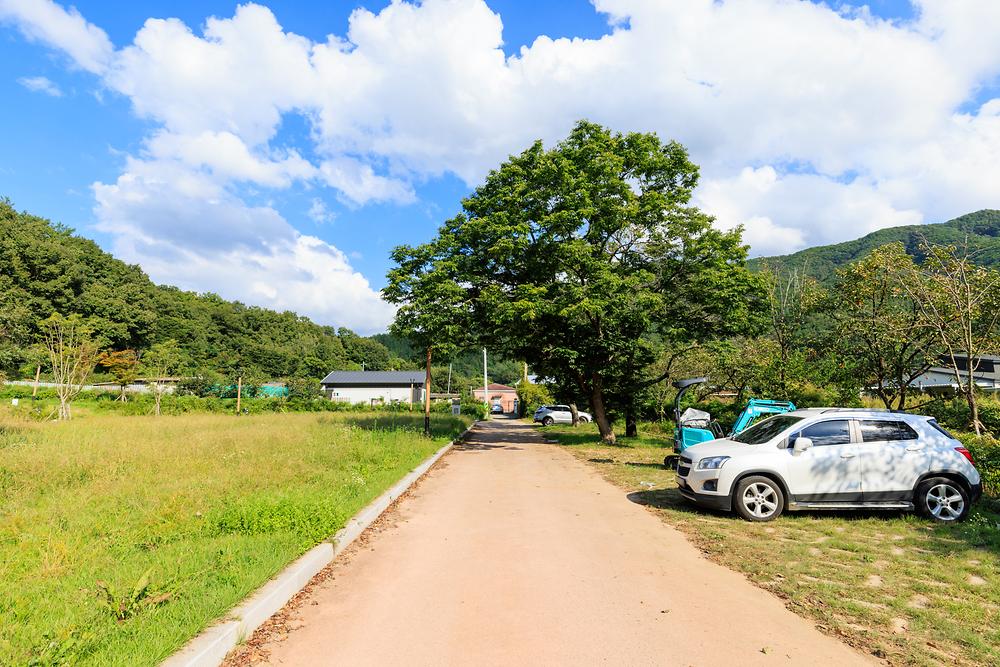 송림 힐링캠핑장