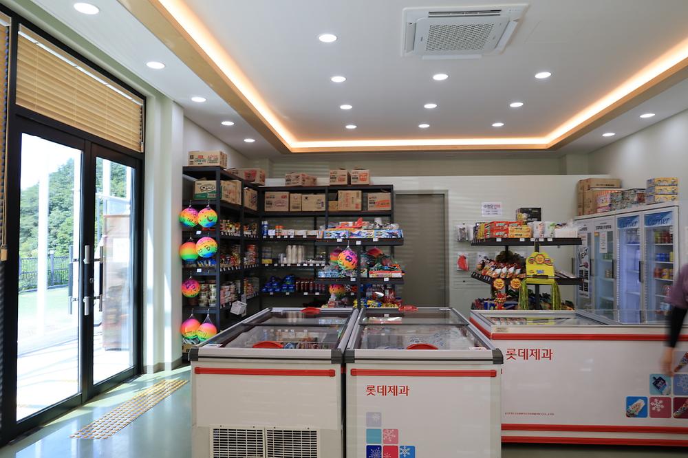 캠프다온