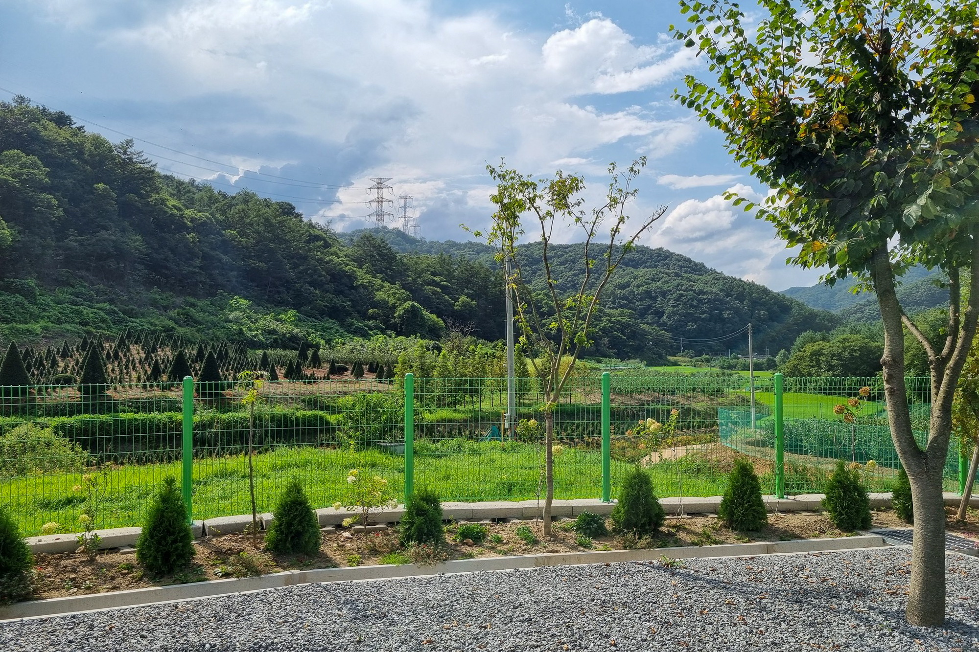 요새불멍