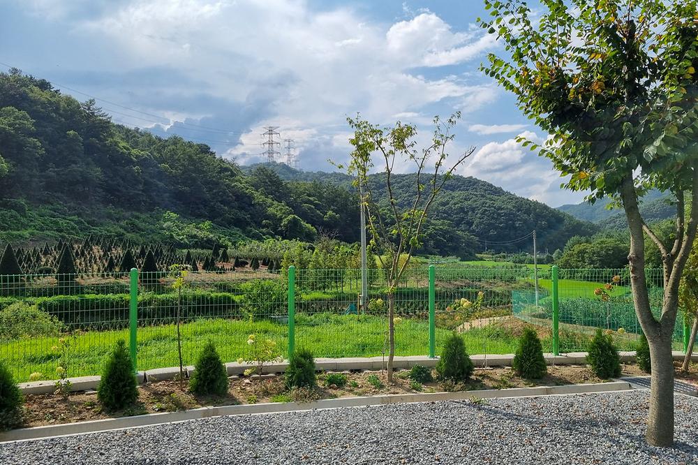 요새불멍