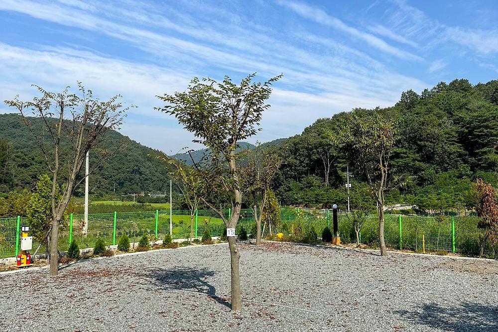 요새불멍