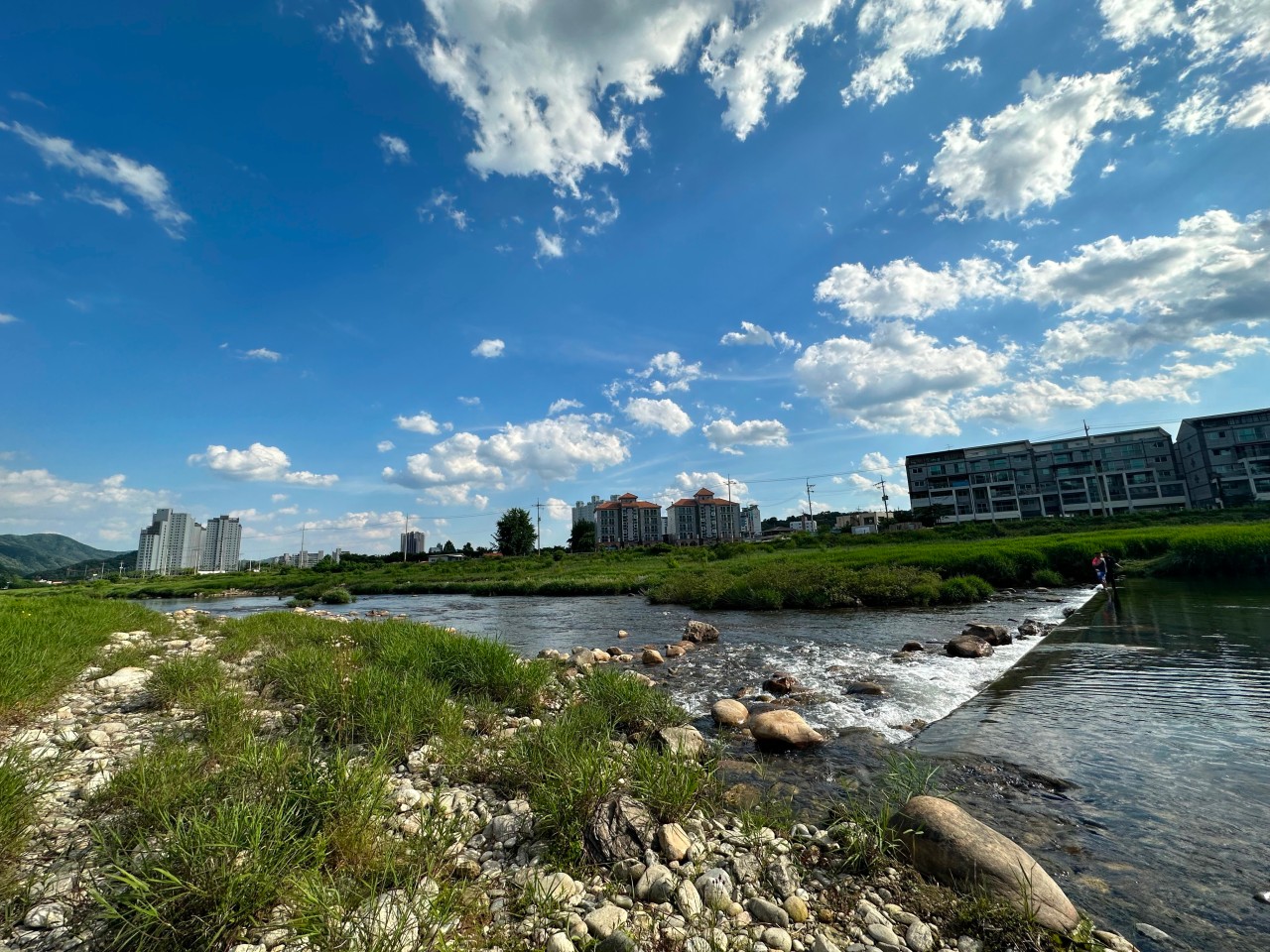 캠프241 더 다이닝