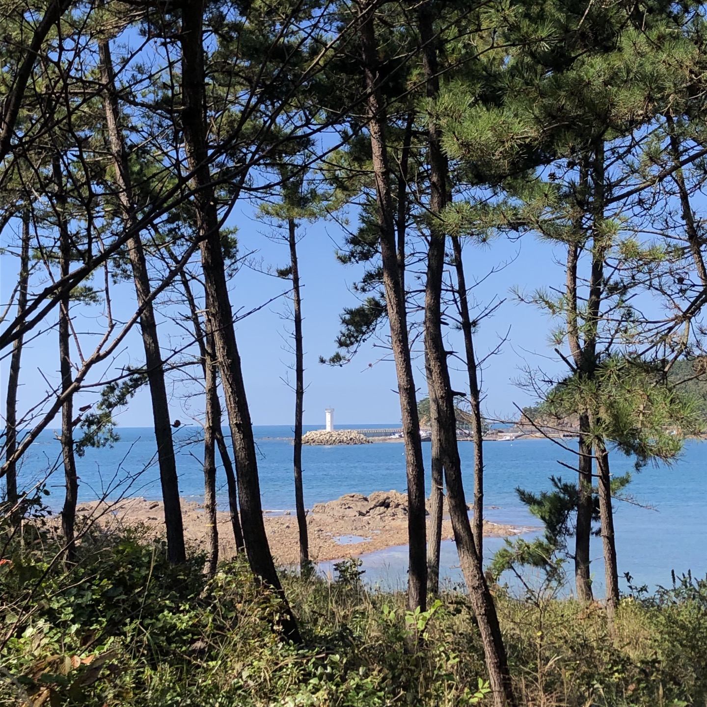 바다풍경관광농원