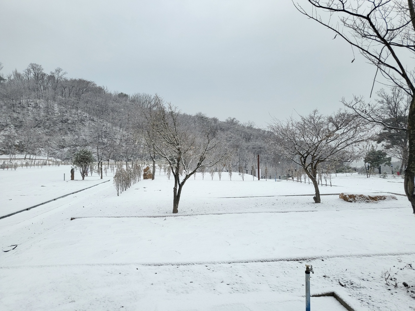 필(FEEL) 오토 캠핑장