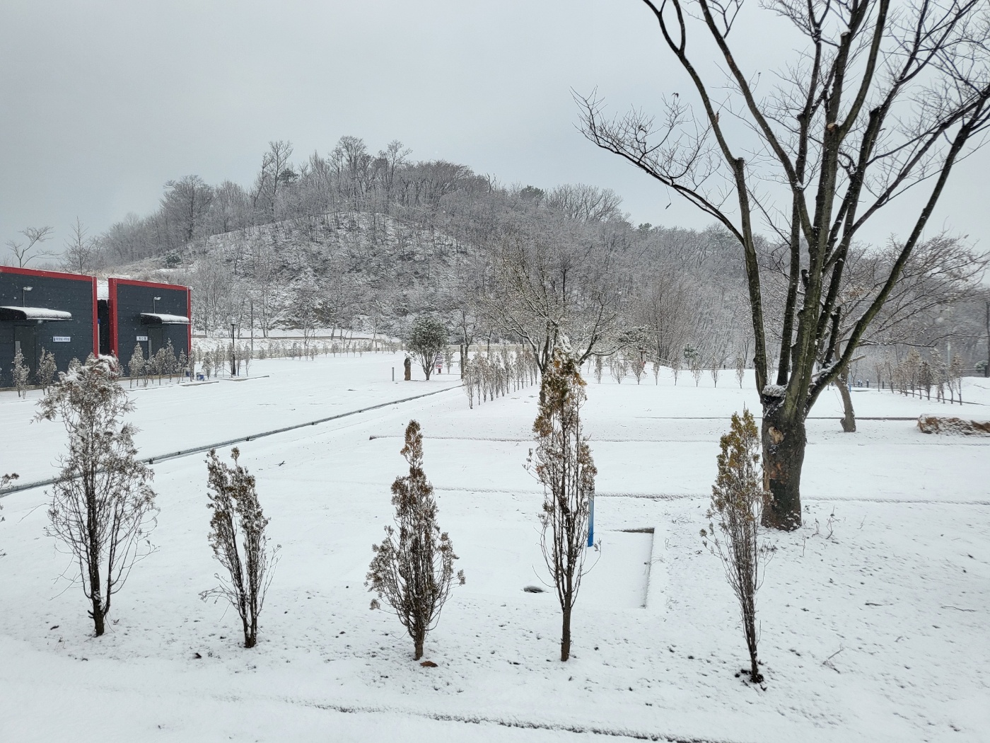 필(FEEL) 오토 캠핑장