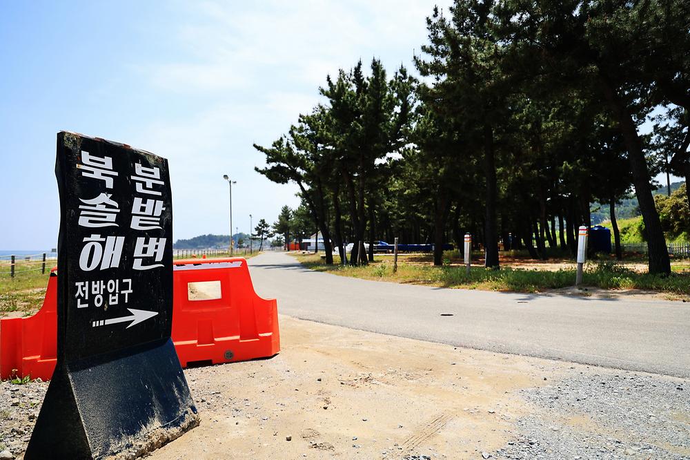 북분솔밭캠핑장