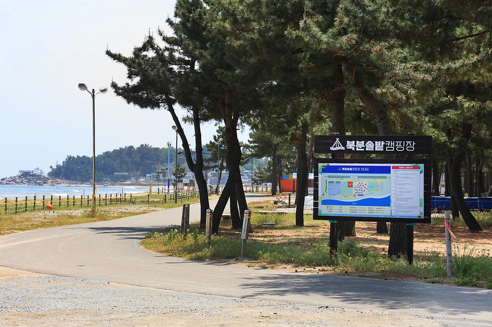 북분솔밭캠핑장